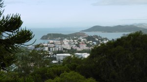 View of Nouméa from Parc du Ouen Toro
