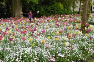 Now this is why we came to Bruges in Spring!