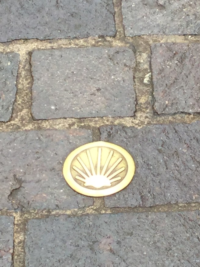 44F9C99F-119F-435A-86ED-B2228F22B56F