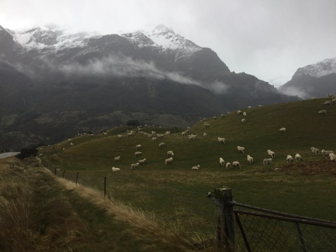 44A909E6-86EE-4FB1-BB83-9A0D44CE4D60