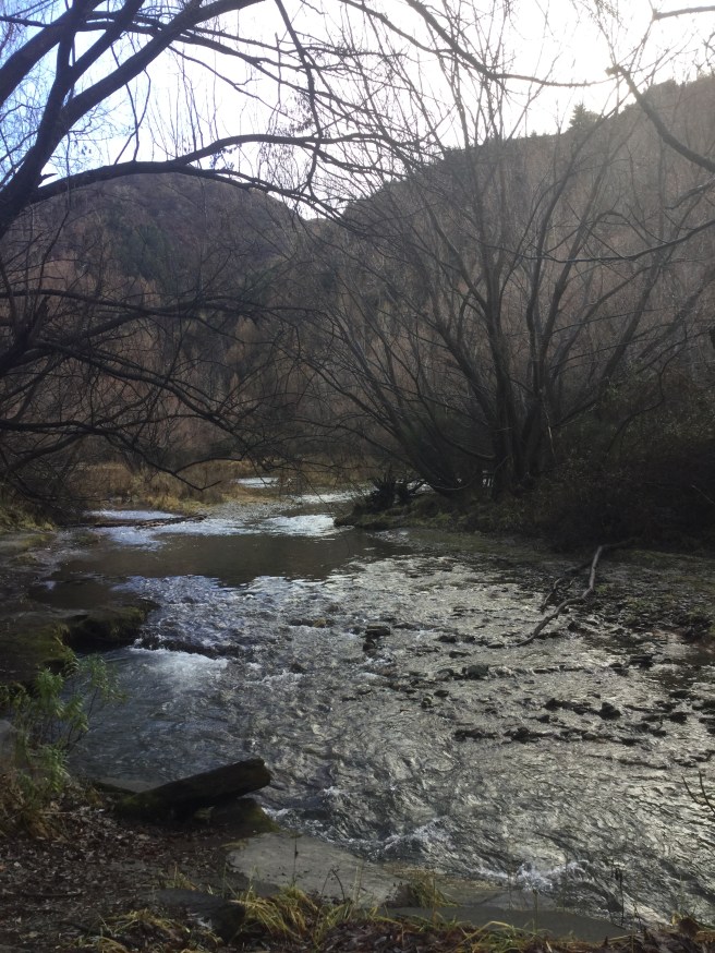 50AD0190-2B95-4819-A9DB-1E5EE5489D28