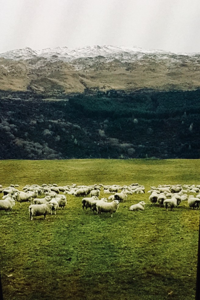 75207621-E3E5-4110-8AA0-51A6EF7DAA44