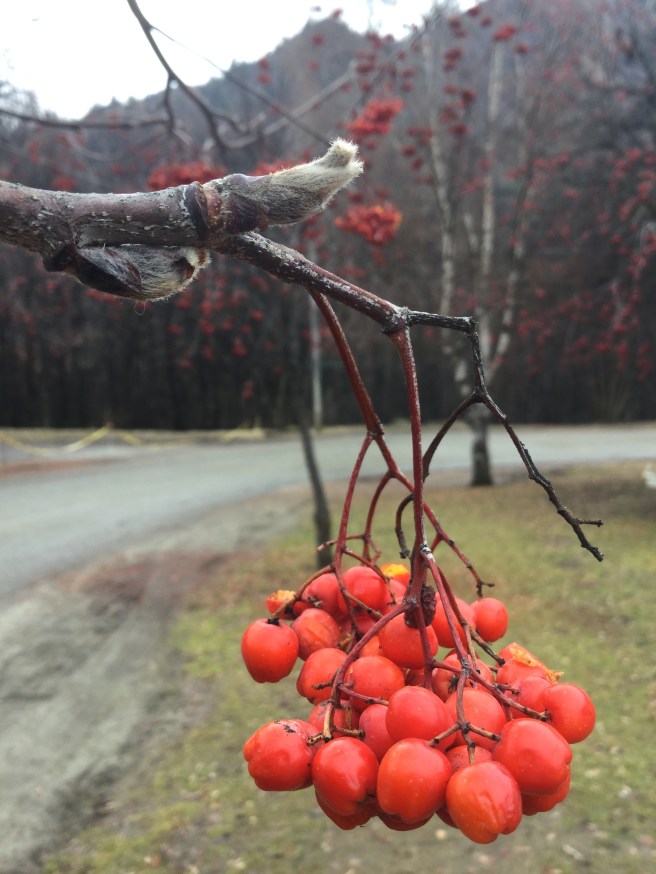 826097D4-EBBC-4A87-A4E3-2543D4DDCB2C