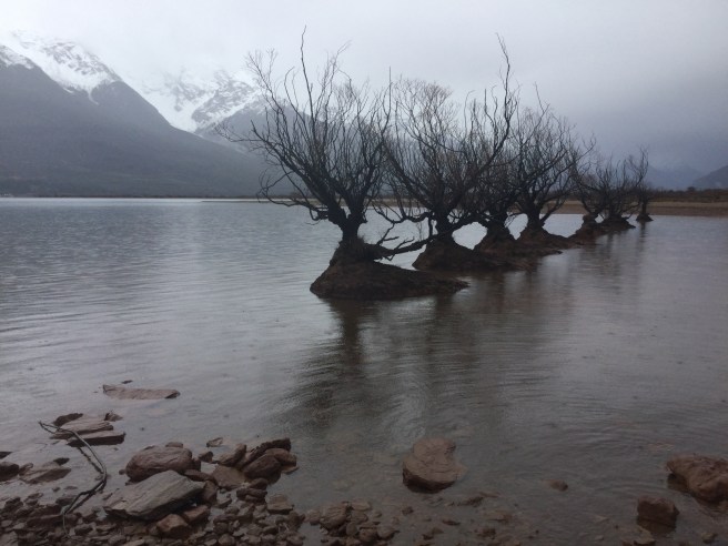 8E35C158-58B3-4C1B-8B2F-571B37176256