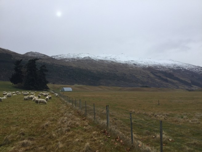 BA2520FB-A482-44BD-96A5-1160D4C03218