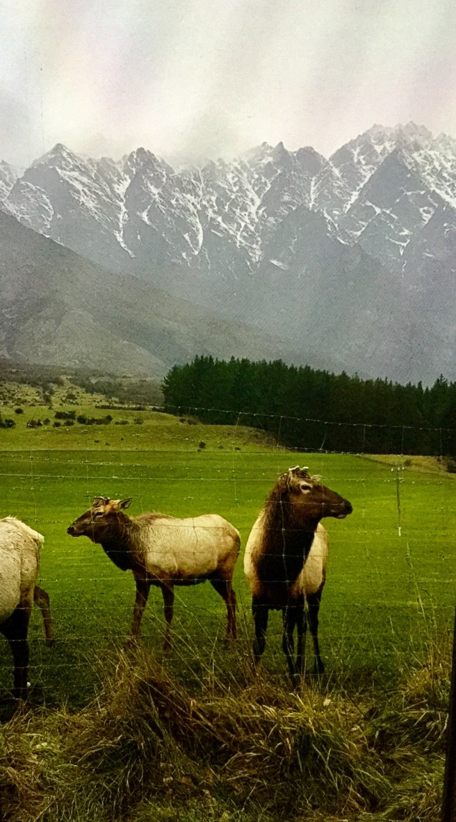 BC52B1A5-33FB-4C17-AC3D-78C5E99415C9