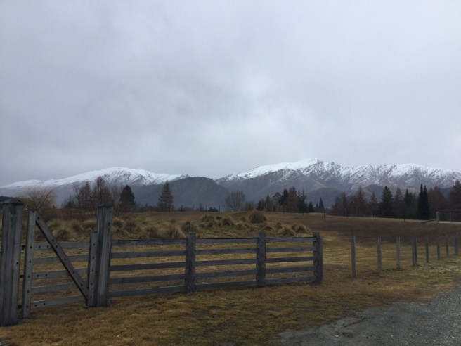 ECC11BF0-2475-4AAD-9817-47784FD04168