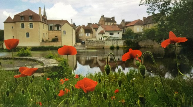 1FE349C9-D111-4370-9D5F-04BD225F9105