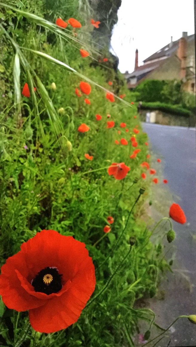 E81BDB5B-0A80-4012-9A6F-19BF08BF8FED