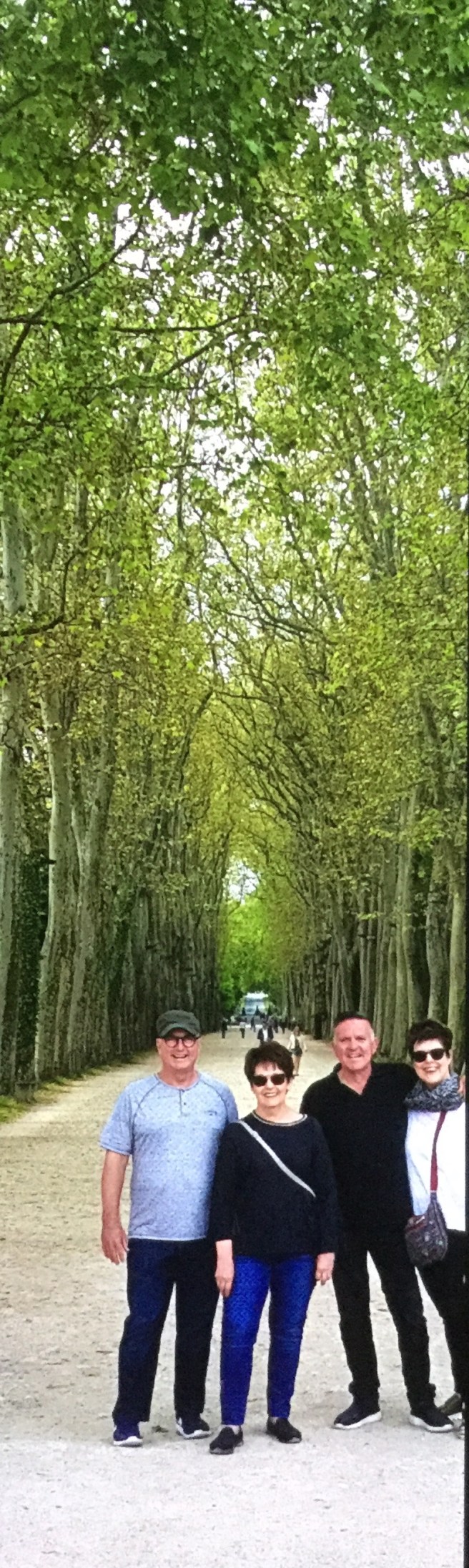 1FE3C29F-19E4-4697-A24B-0B62D6F44FFE