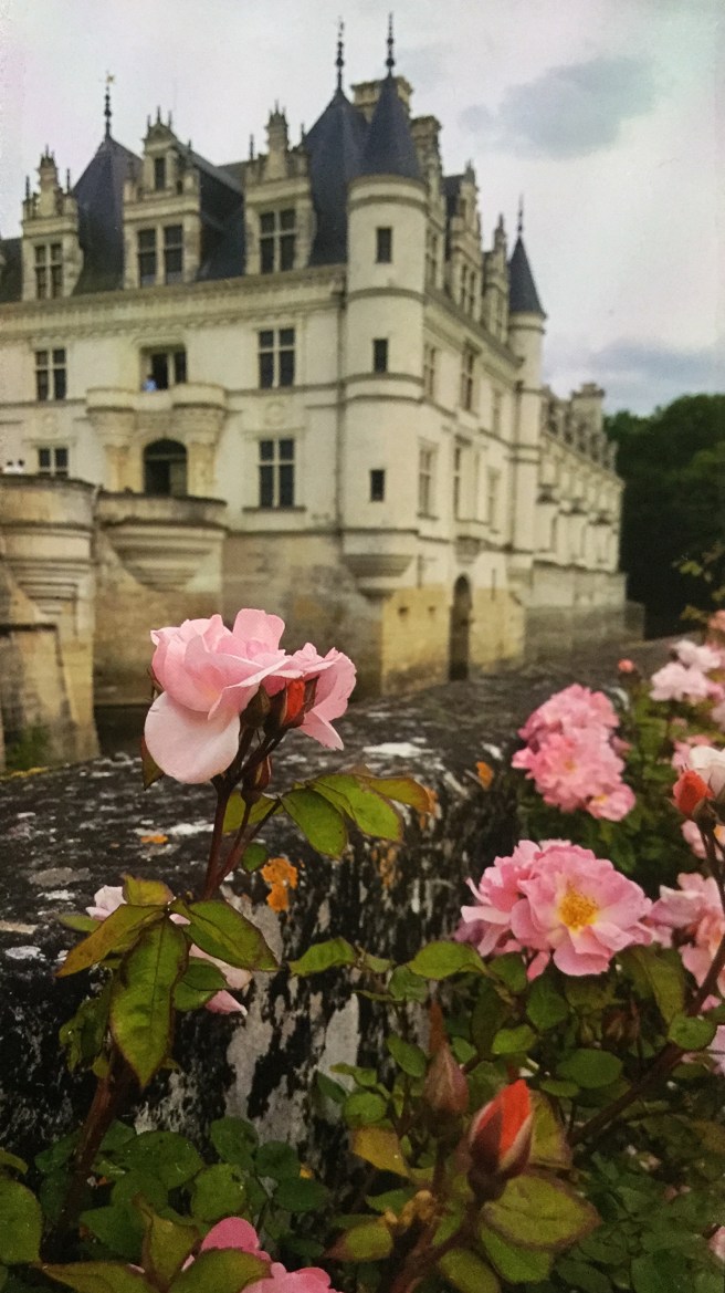 63697984-D97A-4C30-BBD7-0AF2AB1954A0