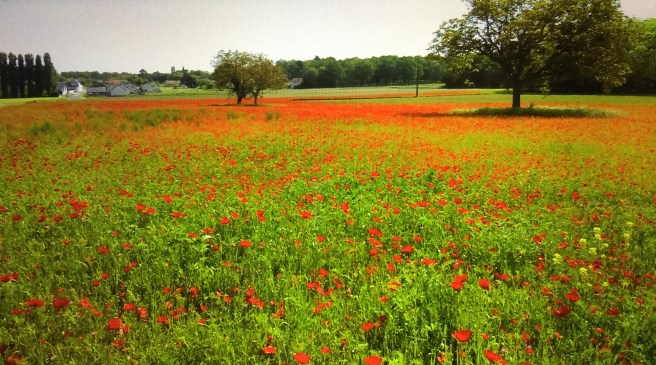 9A84B1F2-8FCA-4710-98AF-DE70A266B09F